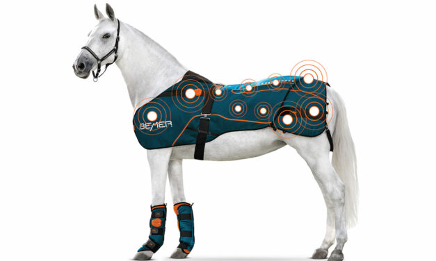 Bio-Electromagnetic Blanket Can Help Horses With Back Pain