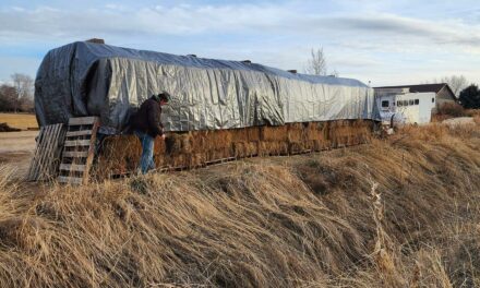 How to Tarp Hay for Winter Storage