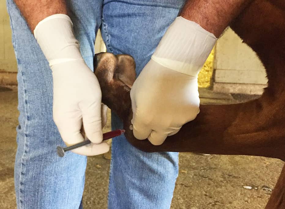 Suspensory bandage - definition of suspensory bandage by The Free Dictionary