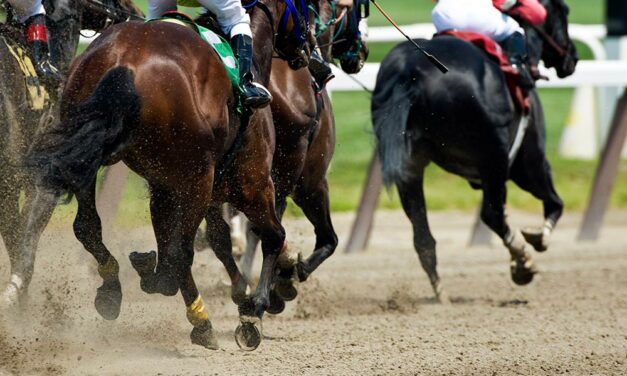 Can Improved Training Strategies Prevent Racehorse Injuries?