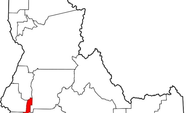 Idaho Horse Aborts Pregnancy Due to EHV-1