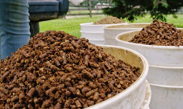 Investigating Equine Cases of Toxicant Exposure
