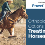 Orthobiologic Options for Treating Horses