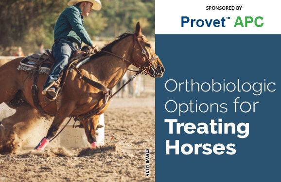 Orthobiologic Options for Treating Horses