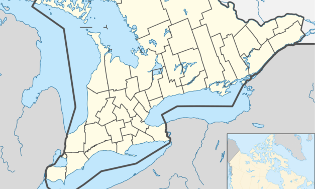 Ontario Thoroughbred Positive for Strangles