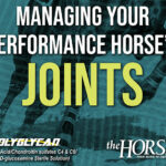 Managing Your Performance Horse’s Joints