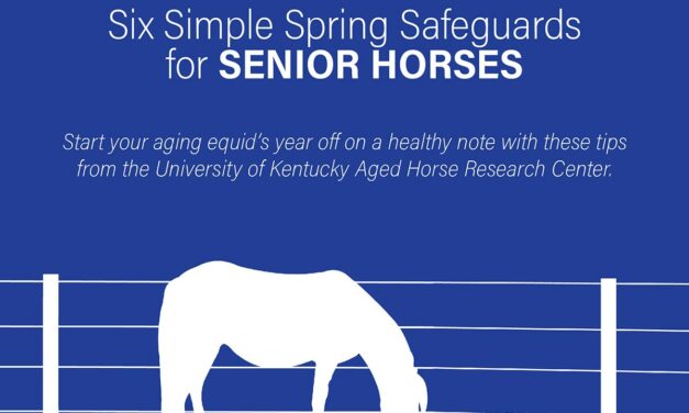 6 Simple Spring Safeguards for Senior Horses