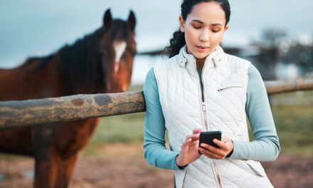 How To Reduce Telephone Time in Equine Practice