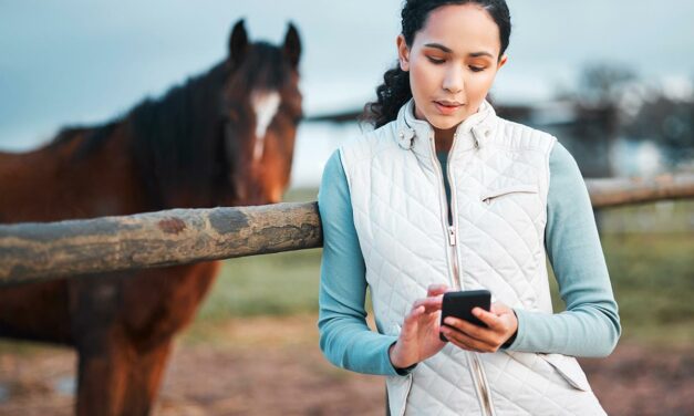 Keeping Equine Vets Off the Endangered Species List