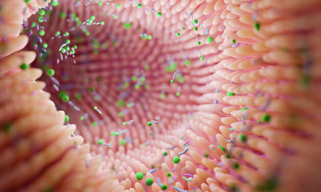 What You Need to Know About Your Horse’s Gut Microbiome