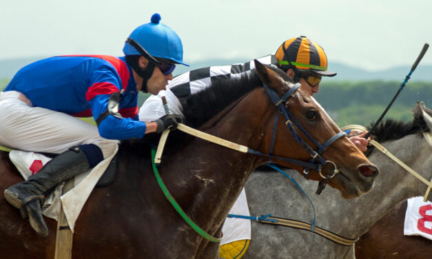 Researchers Identify Key Factors for Heat Stress in Racehorses