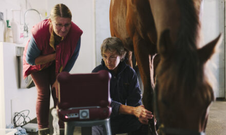 How Equine Vets Can Manage Difficult Client Situations
