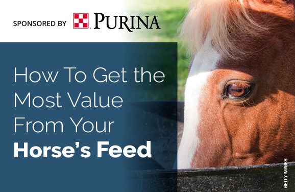 How To Get the Most Value From Your Horse’s Feed