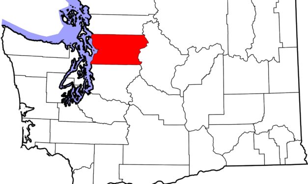 3 Washington Horses Positive for Influenza