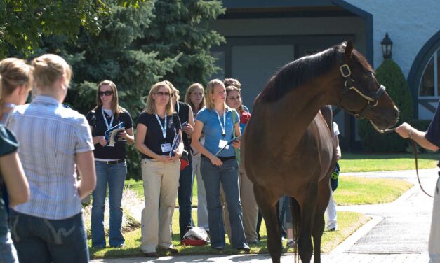 Opportunities in Equine Practice Seminar Returns to Inspire Future Horse Vets