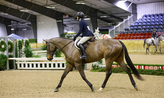 Product Review: Pala-Tech F.A./Plus Granules for Horses