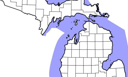 Michigan Mare Positive for Strangles