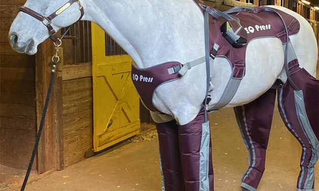 Wearable Pneumatic Compression Device Improves Lymphatic Flow in Horses