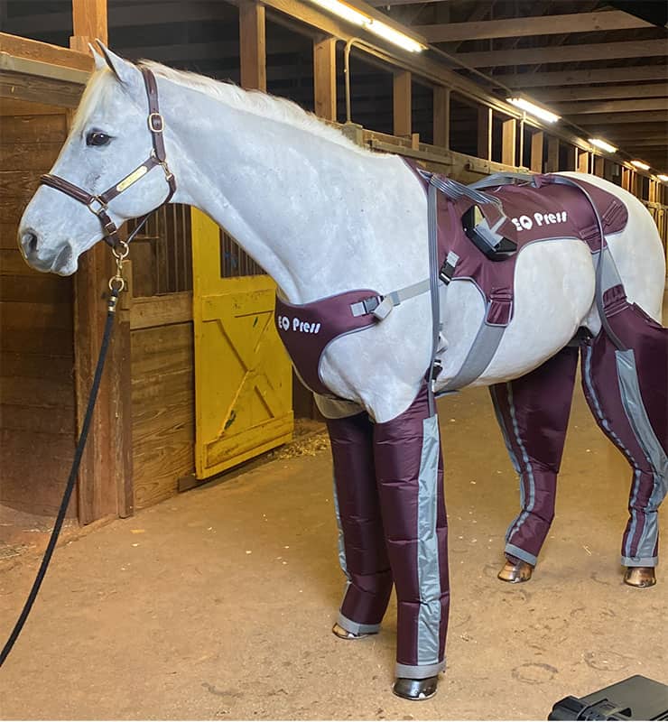 Wearable Pneumatic Compression Device Improves Lymphatic Flow in Horses –  The Horse