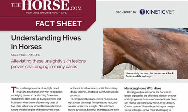 Fact Sheet: Understanding Hives in Horses