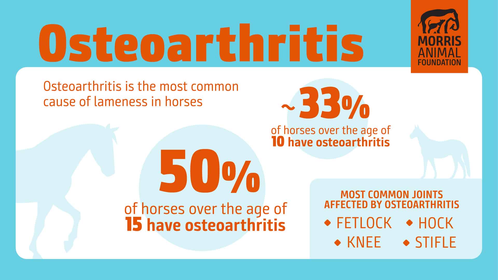 osteoarthritis graphic