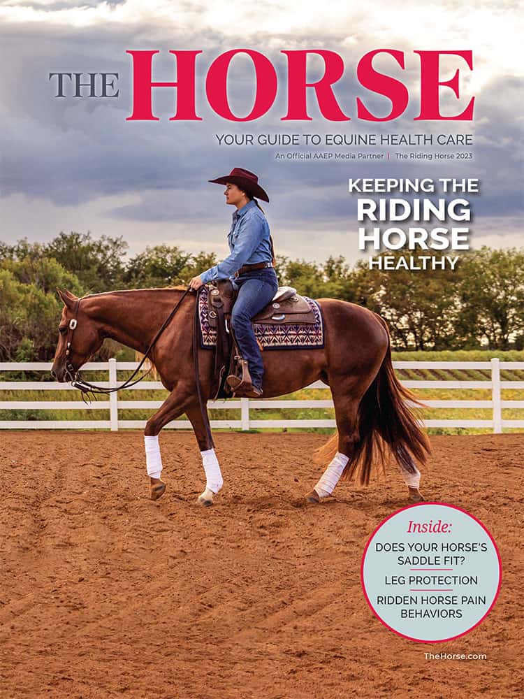 750px x 1000px - The Horse â€“ Your Guide to Equine Health Care