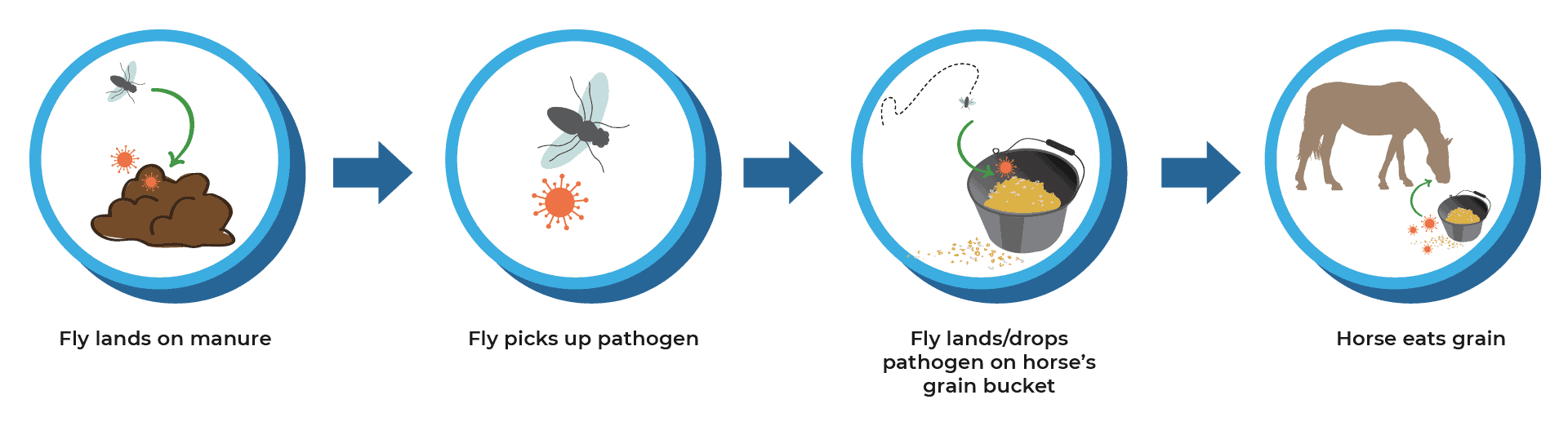 mechanical transmission graphic