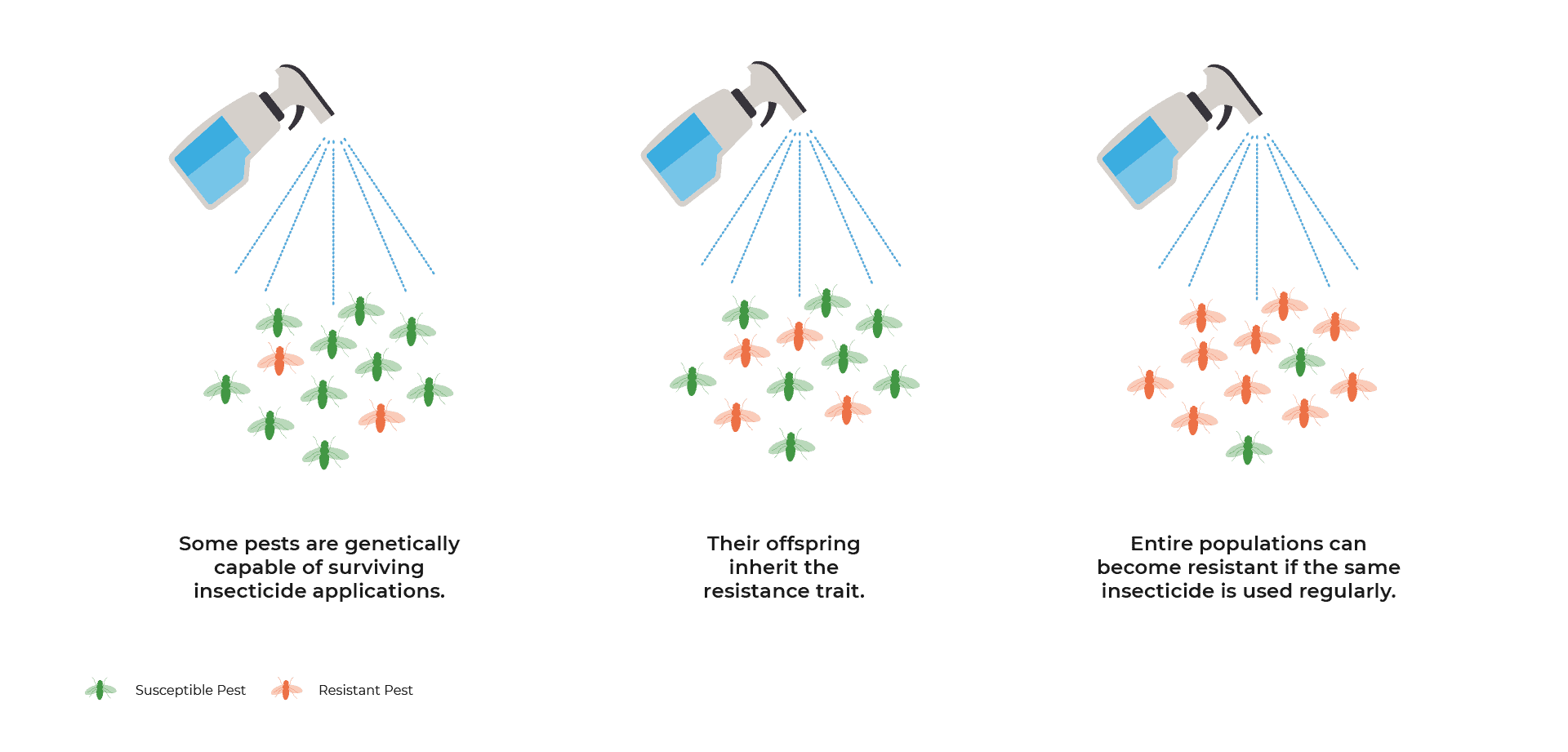 pesticides diagram