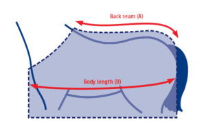 Weatherbeeta body length measurement chart graphic