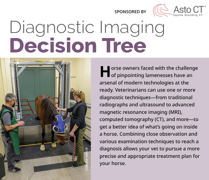 Veterinarians can use one or more diagnostic techniques--from traditional radiographs and ultrasound to advanced magnetic resonance imaging (MRI), computed tomography (CT), and more--to get better idea of what's going on inside a horse. 