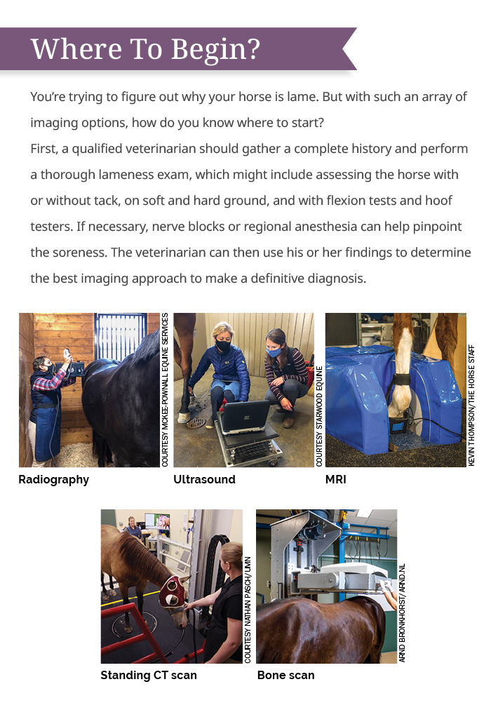 You're trying to figure out why your horse is lame. But with such an array of imaging options, how do you know where to start? 