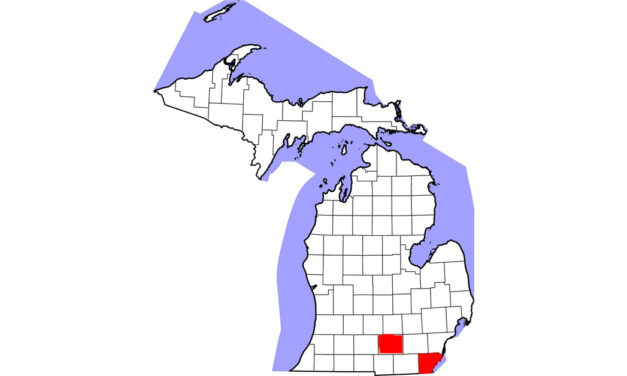 Strangles in Two Michigan Counties